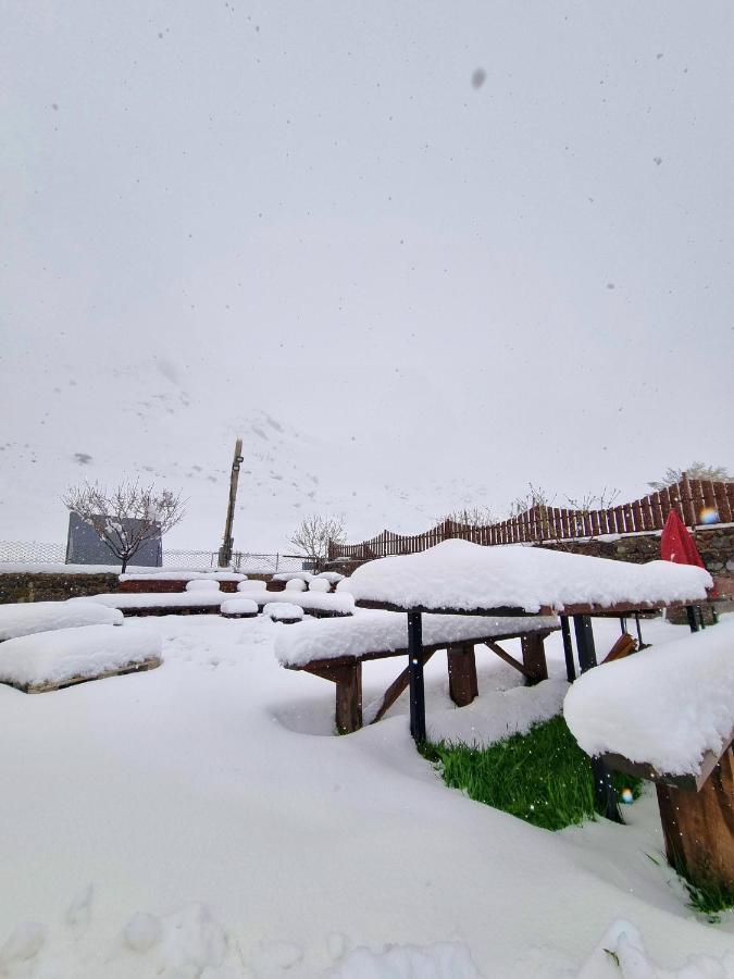 ---Allegria House--- Kazbegi Exterior foto